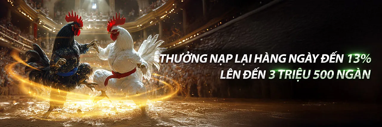 Đá Gà Trực Tuyến Hấp Dẫn tại 8xx Khuyến Mãi